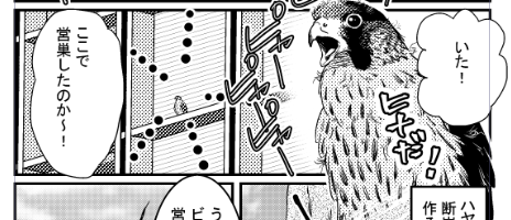 野鳥博(8/30~9/5)に出す本の原稿をまとめています。 スクショだけみつけて原稿どこだ!と探していたものもやっと見つけました。 仕上がってないものも含め100P以上あるけど、これは公開しようかなと思うものがことごとく仕上がっておらんのですけども…