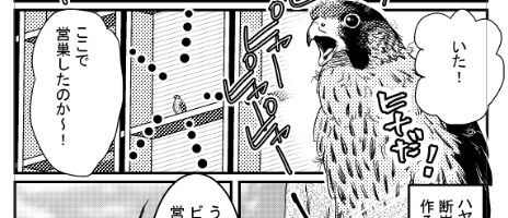 野鳥博(8/30～9/5)に出す本の原稿をまとめています。 スクショだけみつけて原稿どこだ!と探していたものもやっと見つけました。 仕上がってないものも含め100P以上あるけど、これは公開しようかなと思うものがことごとく仕上がっておらんのですけども…