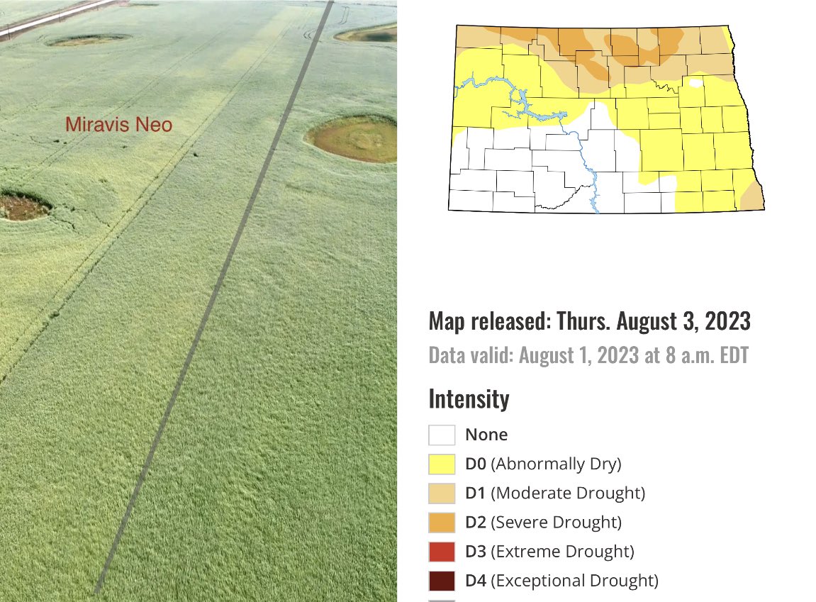 Nelson_NPlains's tweet photo. D2 Severe Drought canola in North Central ND  ✅

Miravis Neo ✅

#MiravisNeo #miravischallenge @SyngentaWestern @TimHoranUSRS_NP @BChris1988 @TimMcIntyreNP https://t.co/FtlMTlzZ0g