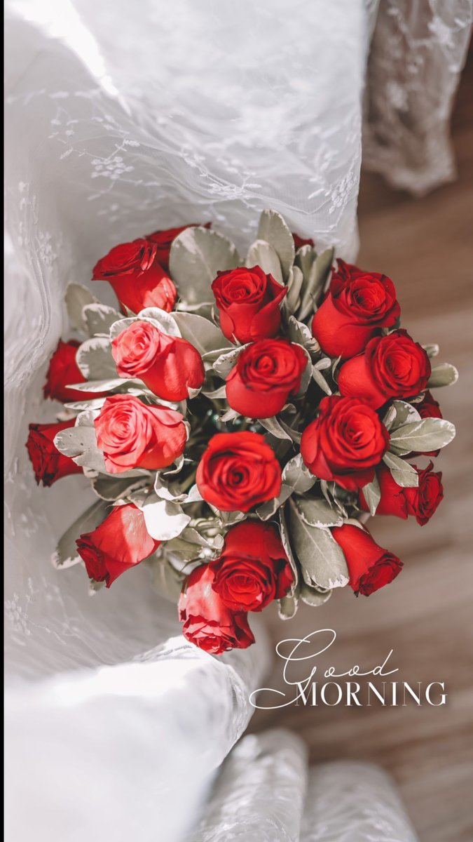 7ii_92's tweet photo. الأنثى، تظُن أنهَـاا ورّدة بينمَـاا هي مشتّل الوُرد 🌻🌿 https://t.co/aqrhFUMQHC