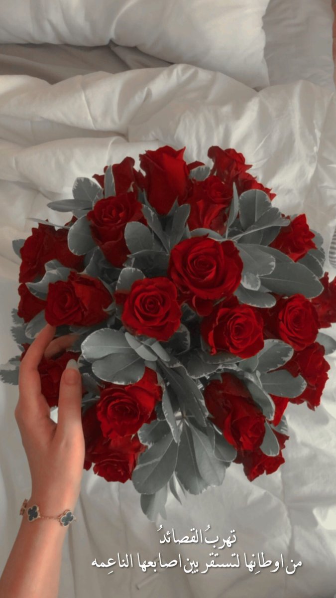 7ii_92's tweet photo. الأنثى، تظُن أنهَـاا ورّدة بينمَـاا هي مشتّل الوُرد 🌻🌿 https://t.co/aqrhFUMQHC