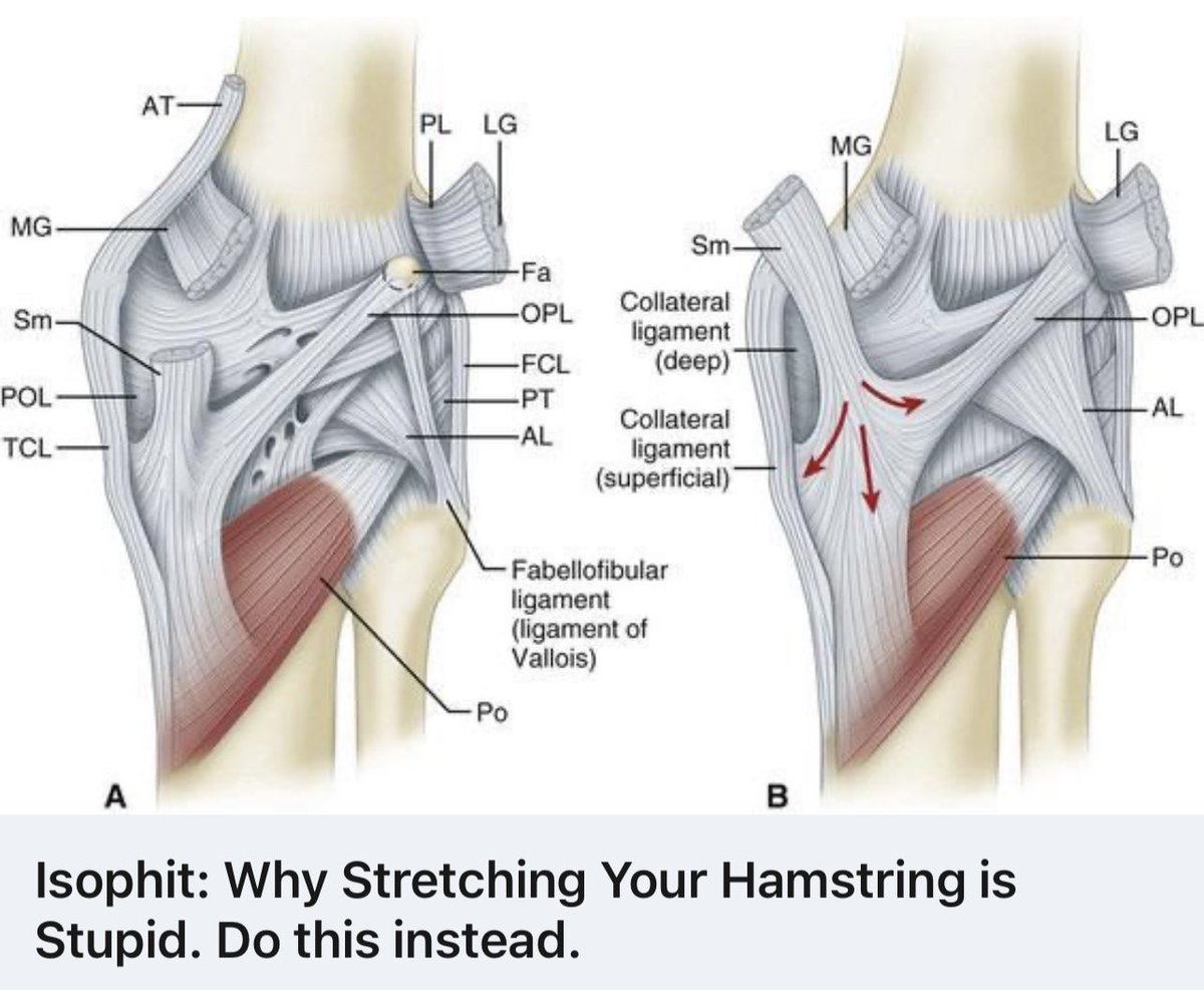 IsophitInventor's tweet photo. I just uploaded 51 blog posts on isometric strength training to the @Isophit website.
Follow the link to this treasure trove of information on Isometric Strength Training.
https://t.co/0cmtjGJhmw
#isometricstrength #isometrics #fitness #isometric #health https://t.co/YTX3I77xpO