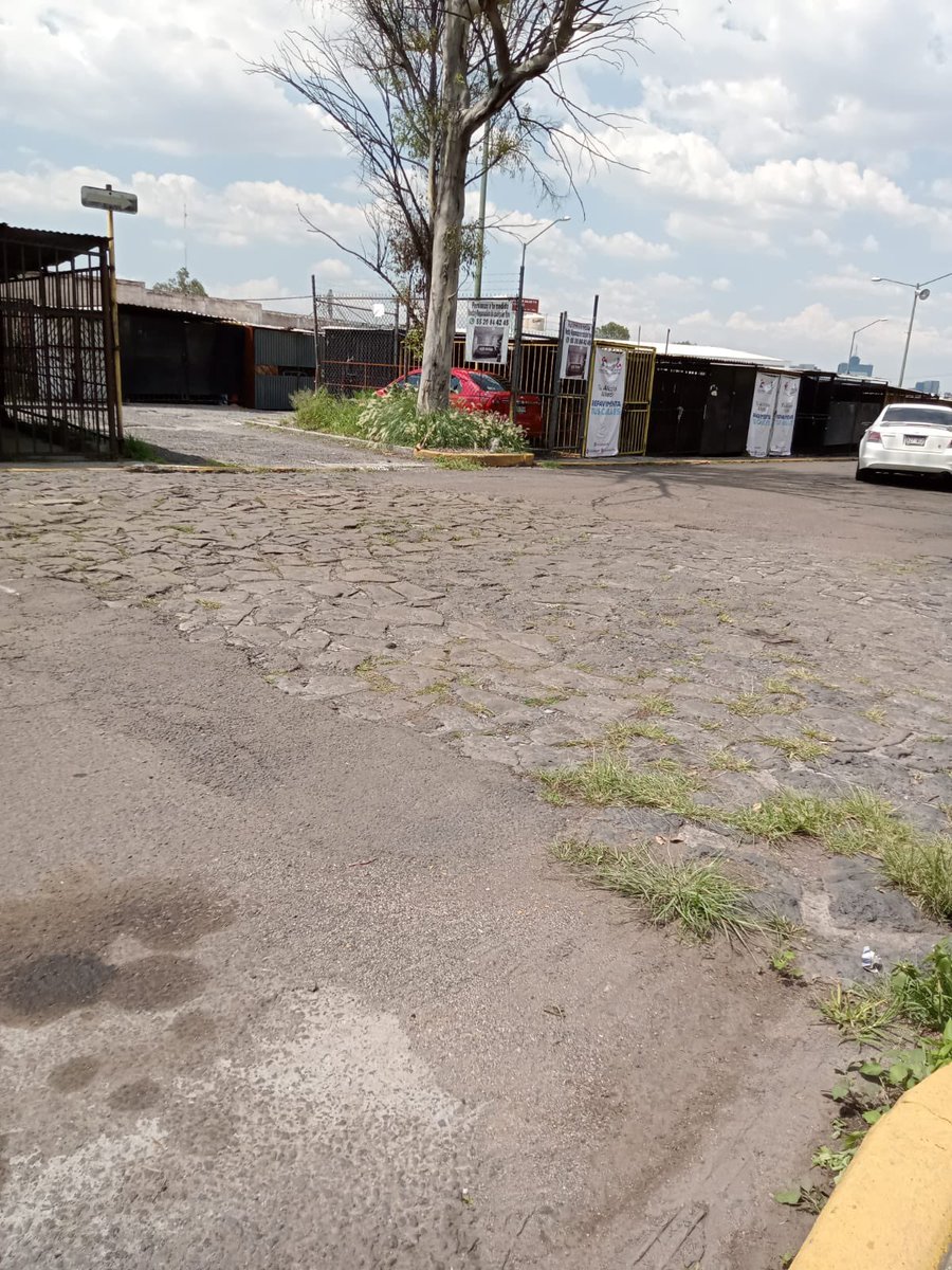 Comite Integral Plateros tweet media