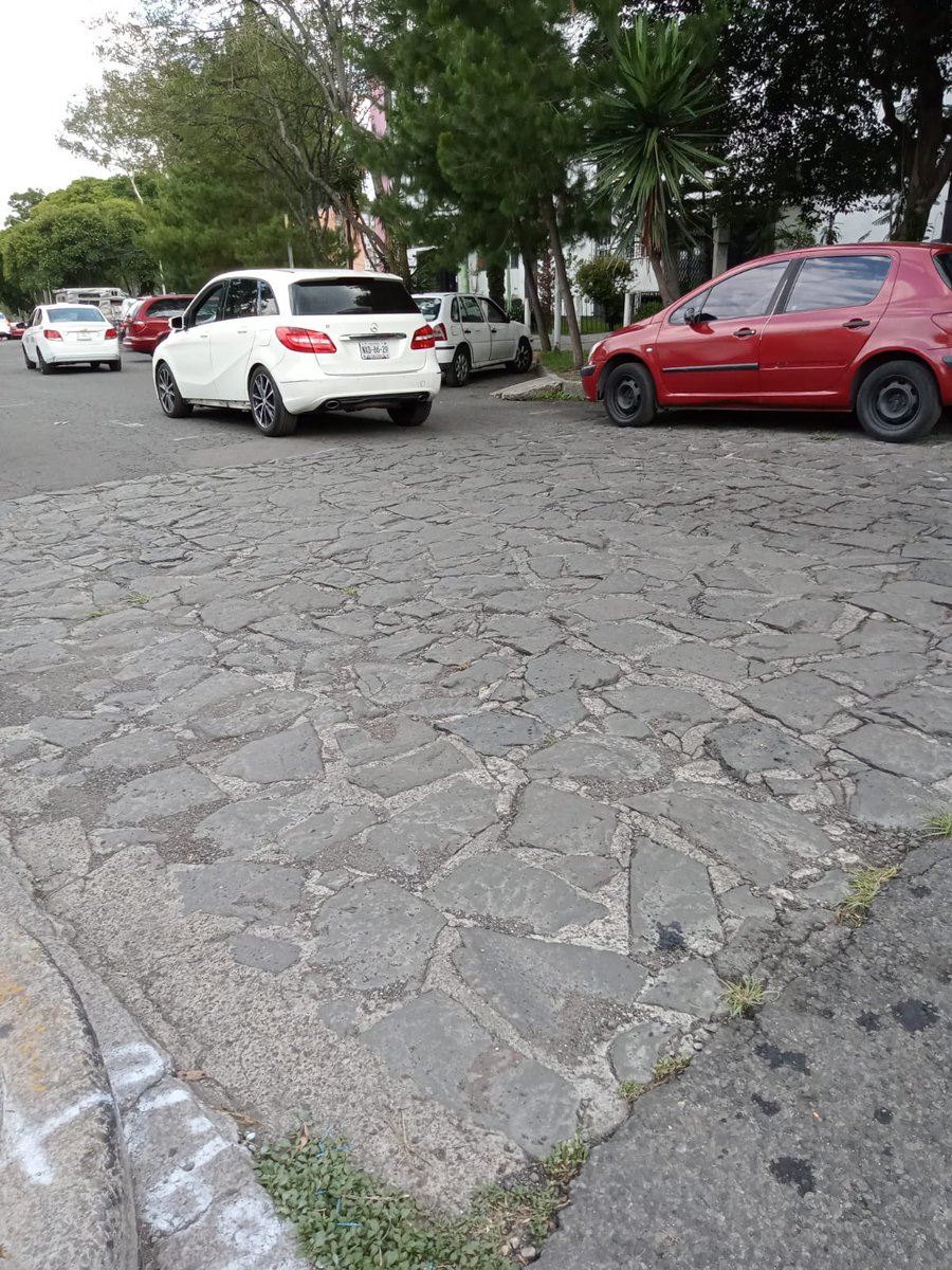 Comite Integral Plateros tweet media