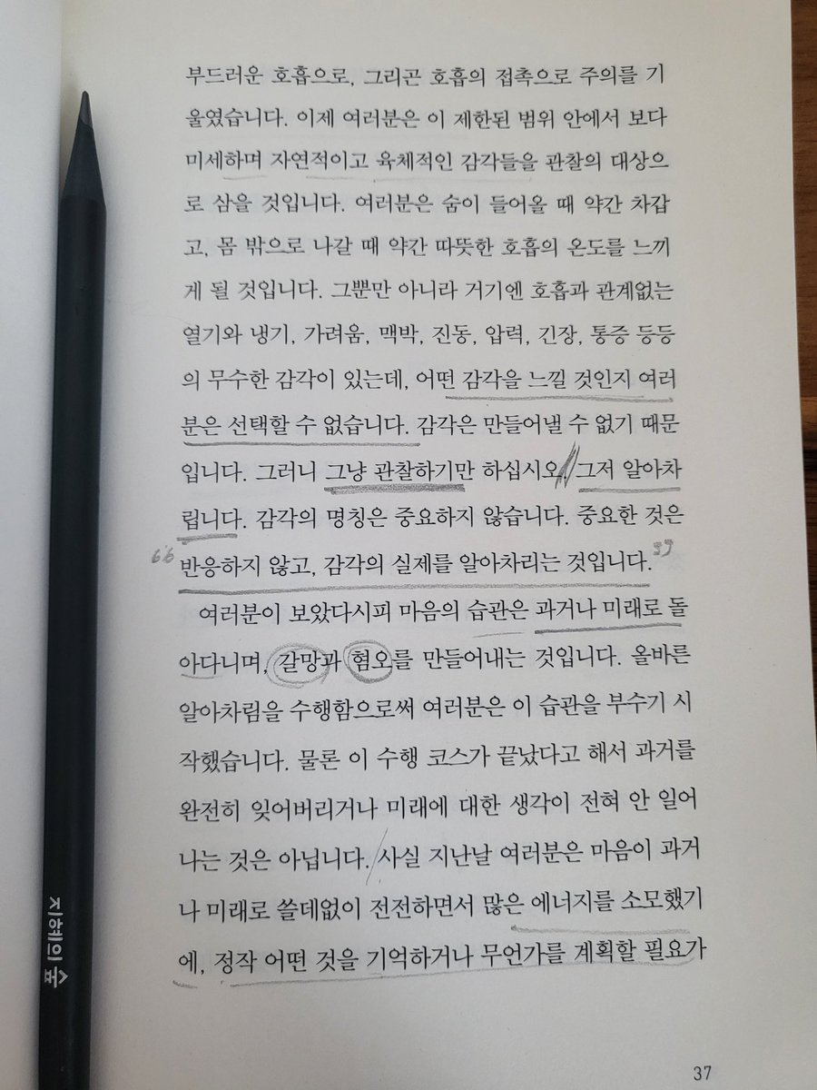 요즘 너무 감정에만 휘둘린다. 이대로면 내 인생 안됄것 같아서 다시 위빠사나.. 잠깐이라도 호흡 관찰하는 것과 하지 않는 것의 마음 상태가 다른듯
