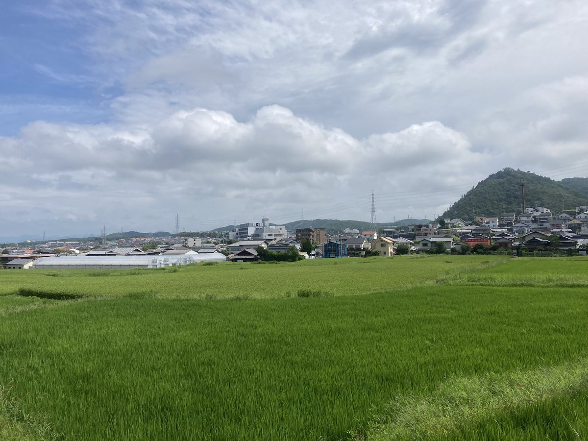 tripstar0522's tweet photo. #朝ラン （午前ラン？）しました。

今日は自宅から5km 。
朝方雨が降っていたので、様子を見て10時前位から走り出したのですが、途中から日が差してきて、例の如く滝汗クリステル💦でした…。

コース
自宅付近→上山口交差点→阪神流通センター→岡場駅

👟→ #HOKA   #CLIFTON6 https://t.co/vImehBljGv