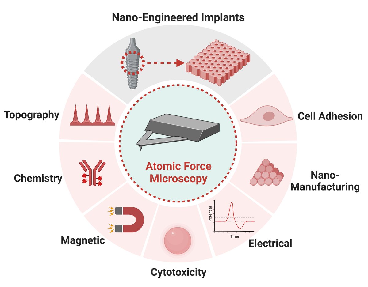 🚨PAPER ALERT 🚨! !
'Atomic Force Microscopy to Characterize Nano-Engineered Implants' published in @ActaBio 

doi.org/10.1016/j.actb…

#AFM #Implants #SCFS #CellAdhesion #Characterization #NanoEngineering