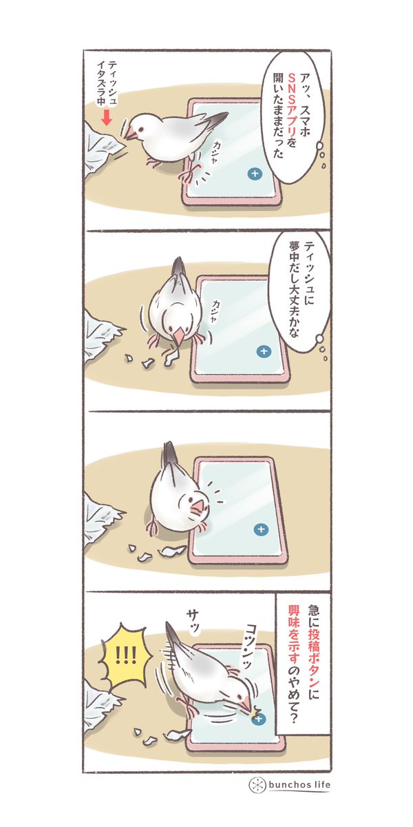 アプリのUIで重要な部分は目につきやすく出来ているので、文鳥もちゃんとそこを狙ってくる(勝手に投稿しないで!) #文鳥 #4コマ漫画   *過去作ダウンロードできます!(固定ツイート参照)
