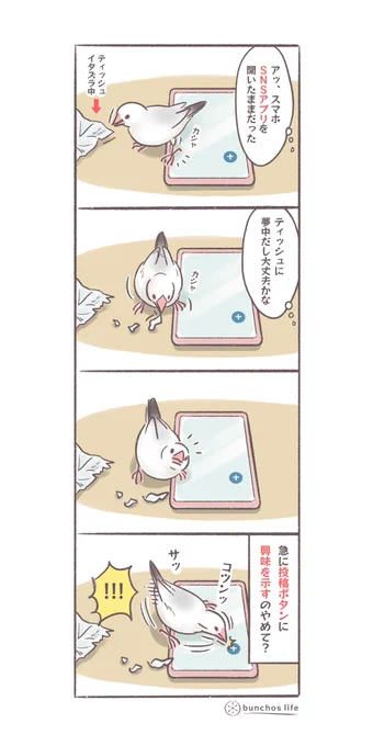 アプリのUIで重要な部分は目につきやすく出来ているので、文鳥もちゃんとそこを狙ってくる(勝手に投稿しないで!) #文鳥 #4コマ漫画   *過去作ダウンロードできます!(固定ツイート参照)