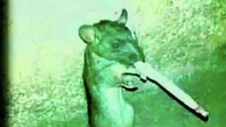 dazcidal's tweet photo. You dislike bsdtwt bcs you post annoying repetitive opinions in which you were attention seeking, 
I hate bsdtwt bcs they glorify sh, su1cide, abuse, and sexualize all of the above along with being severely misogynistic and overall dehumanizing to people with mental illness https://t.co/T3Zx9tcchJ