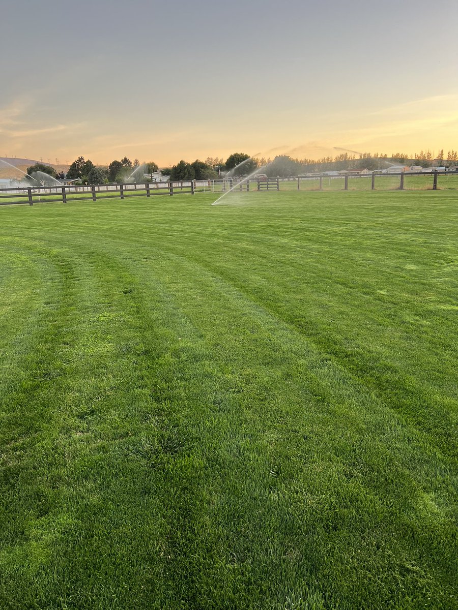 Getting <a href="/maiganhanberg/">Maigan Hanberg</a>’s yard dialed in for her ❤️❤️