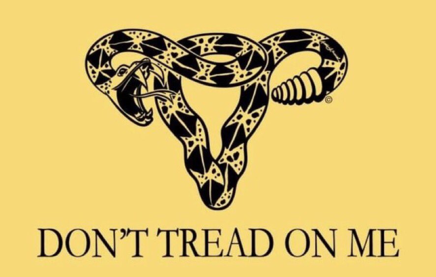 xfishnutzx's tweet photo. @BernieSanders Republicans take note: bodily autonomy is on the ballot. Ohio continues the momentum and has made it resoundingly clear that women will fight to protect their right to make their own healthcare decisions. Women will roar in 2024! 💙 https://t.co/SXIEFJqZ5k