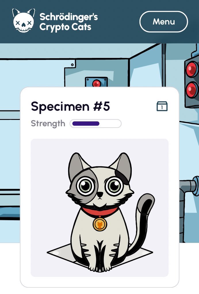 🥼📦?💀:😻 - Schrodinger's Crypto Cats tweet media