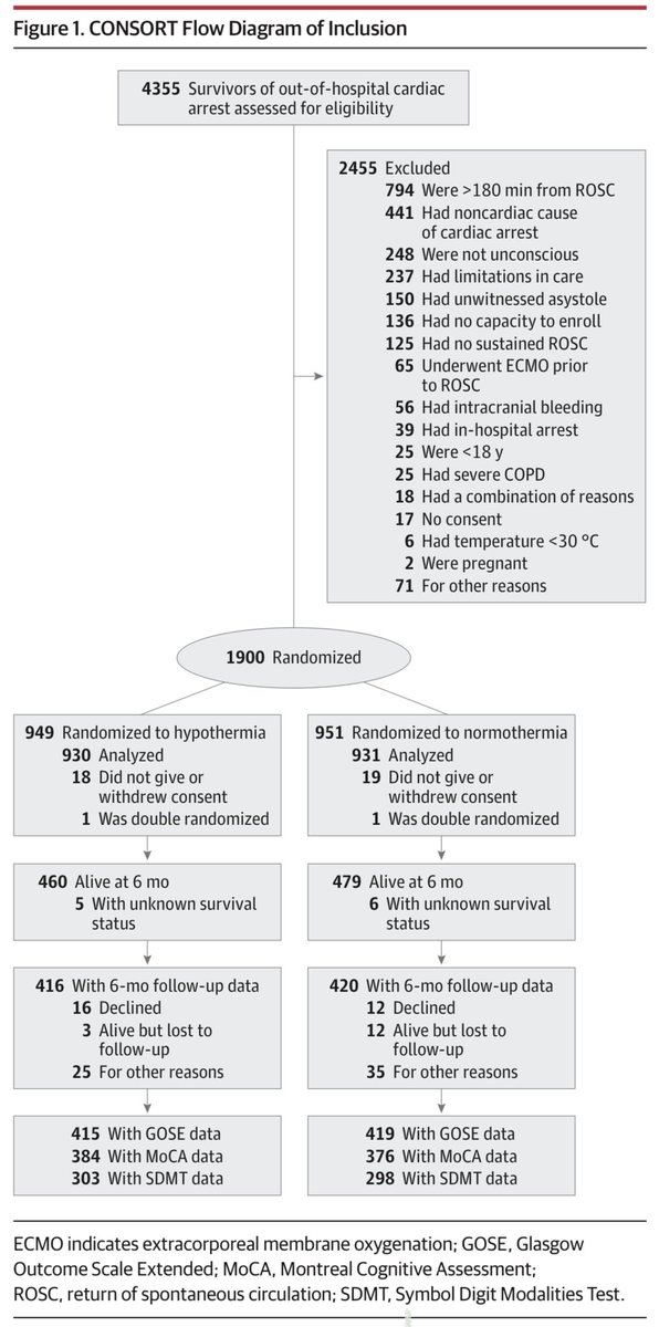Nick Mark MD tweet media