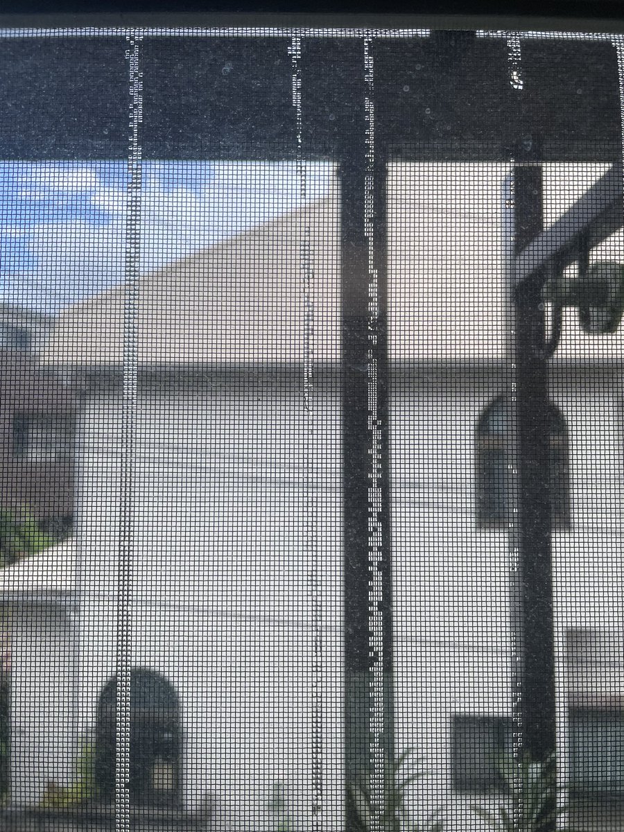 水滴の流れた跡が、雨戸でドット化されている
(よく見ると上の溜まり部分は広がってたりちゃんと形がとれてる