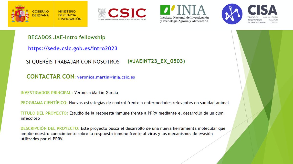 The Sevilla Lab 🐑🐭💉🧬🔬☣️ tweet media