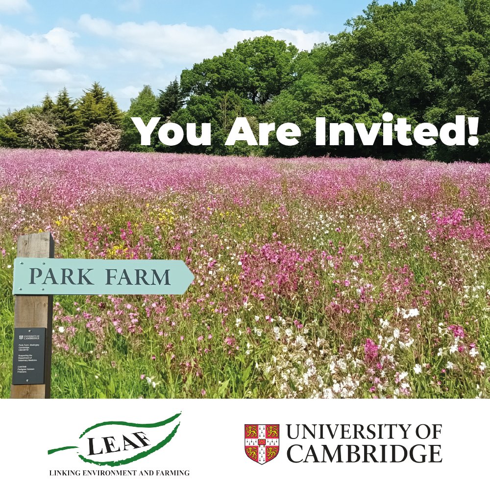 LEAF_Farming's tweet photo. You are invited!
See how Cambridge University Farms are using carbon footprint analysis & more integrated, nature-based solutions to reduce the carbon footprint of the dairy farm 🐄🌼 #climatepositive #LEAFDemoFarm #LEAFNetwork
Reserve your spot here: https://t.co/4yzGlryCXW https://t.co/E9bsWyWTh3