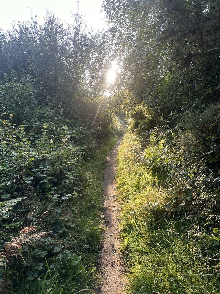 IanChappers's tweet image. Love a holiday run switch different scenery . Today was beach and Heath #suffolk #run #holiday #dunwich