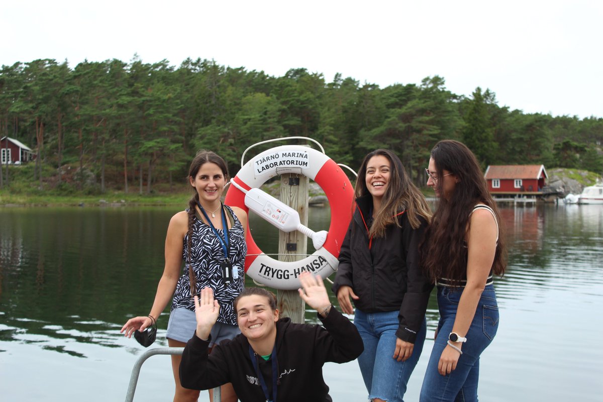 Here comes the Tsunami!🌊 We are Alizée󰏃, Mariana󰐟, Brigitta󰏘 and Ana S󰎼 We are monitoring how the change of sea level would be in Tjärno and if it would affect the meadows of Zostera marina of the area. Stay tuned for more info! #keepaneyeontheTsunam