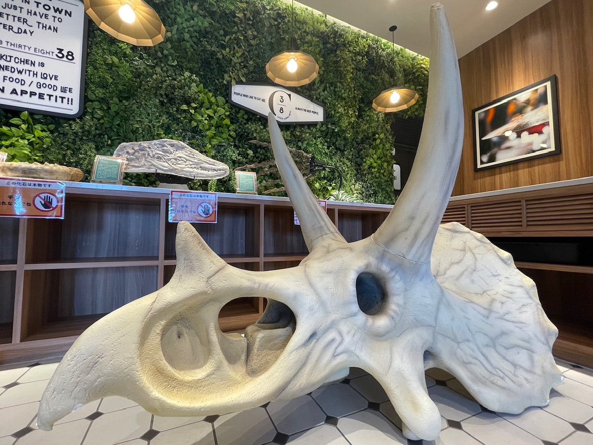club38_mm's tweet photo. ／
いよいよ明日から #DINOSAFARIGIGANT 
＼

🦕#ディノサファリコラボカフェ は当日受付もOK!
公演前後にいかがでしょうか？

店内展示には #トリケラトプス の化石が登場！
大迫力！！

#横浜 #みなとみらい #桜木町 に お越しの方は、ぜひ遊びに来てください🦕

【ご予約】
https://t.co/NLx6XKJnkp https://t.co/lQf5oqdqG9