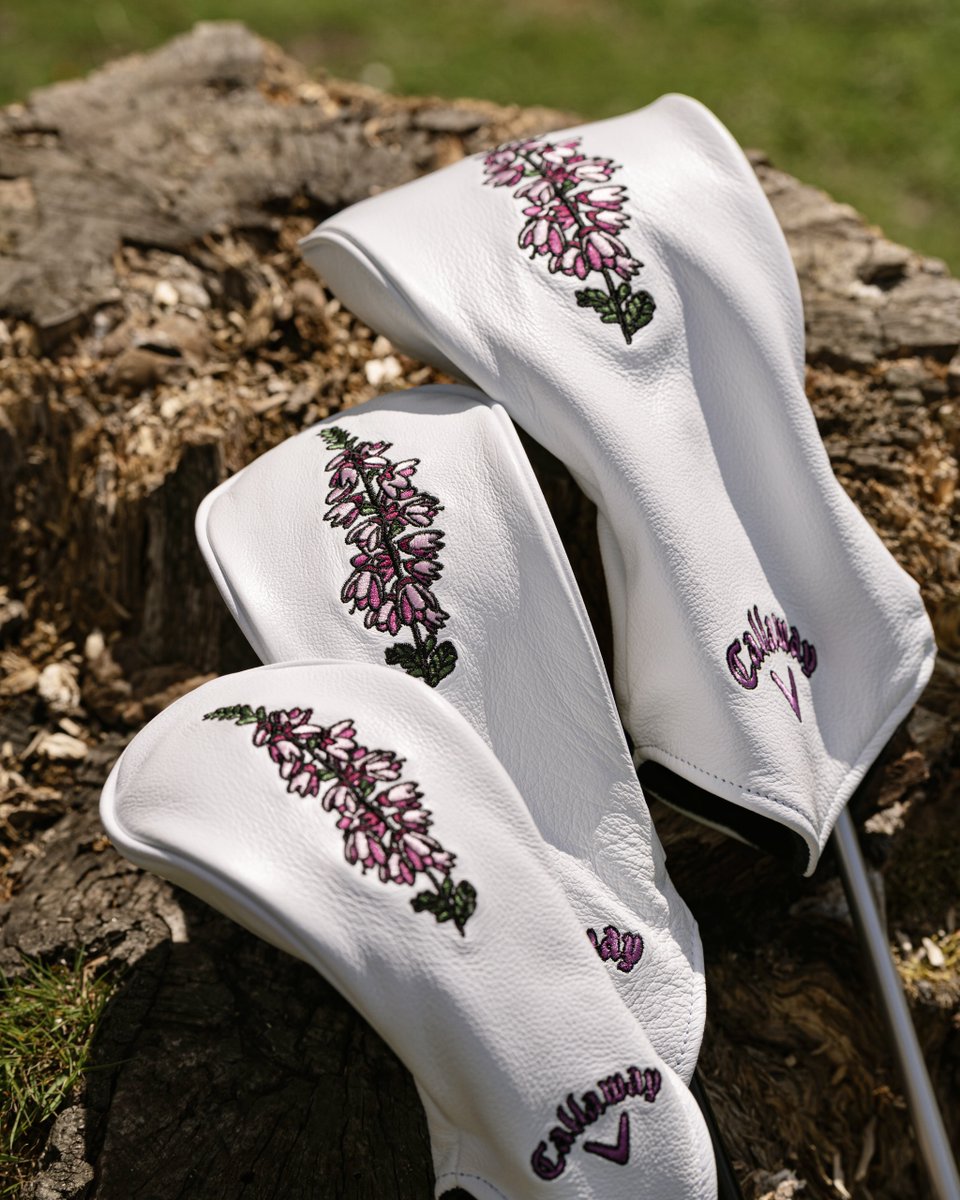 🏌🏻‍♀️🪻 FINAL MAJOR GIVEAWAY! 🌿🏌🏻‍♀️ To celebrate the @AIGWomensOpen, the final Major of 2023, we're giving you the chance to win a full set of these limited edition Major head covers. To ENTER, simply: 🔃 REPOST 👉 FOLLOW @OdysseyGolfTour AND @CallawayGolfEU Good luck! 🤞