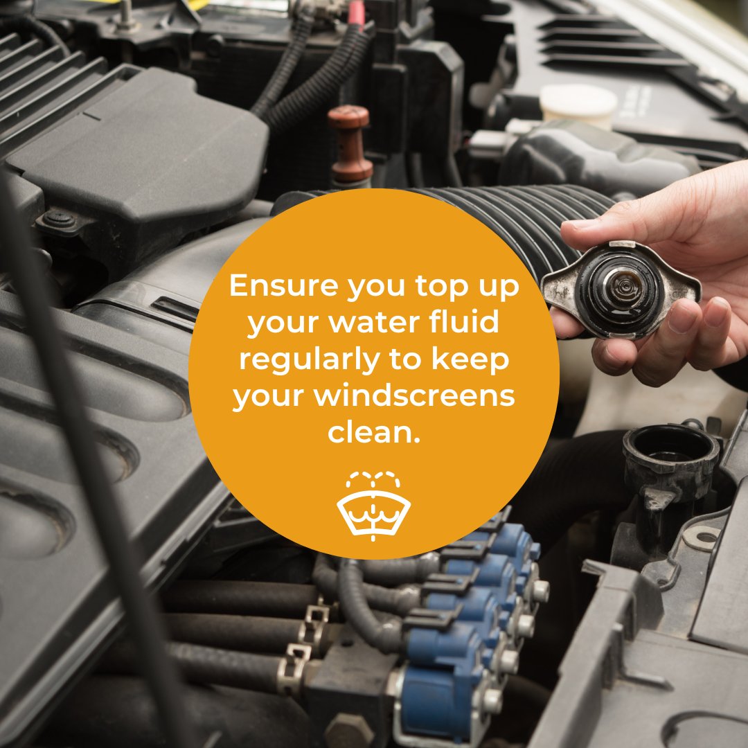 BoxyMo Insurance tweet media