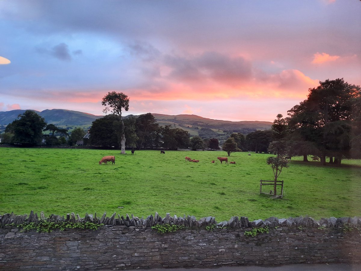 Katie Driver tweet media