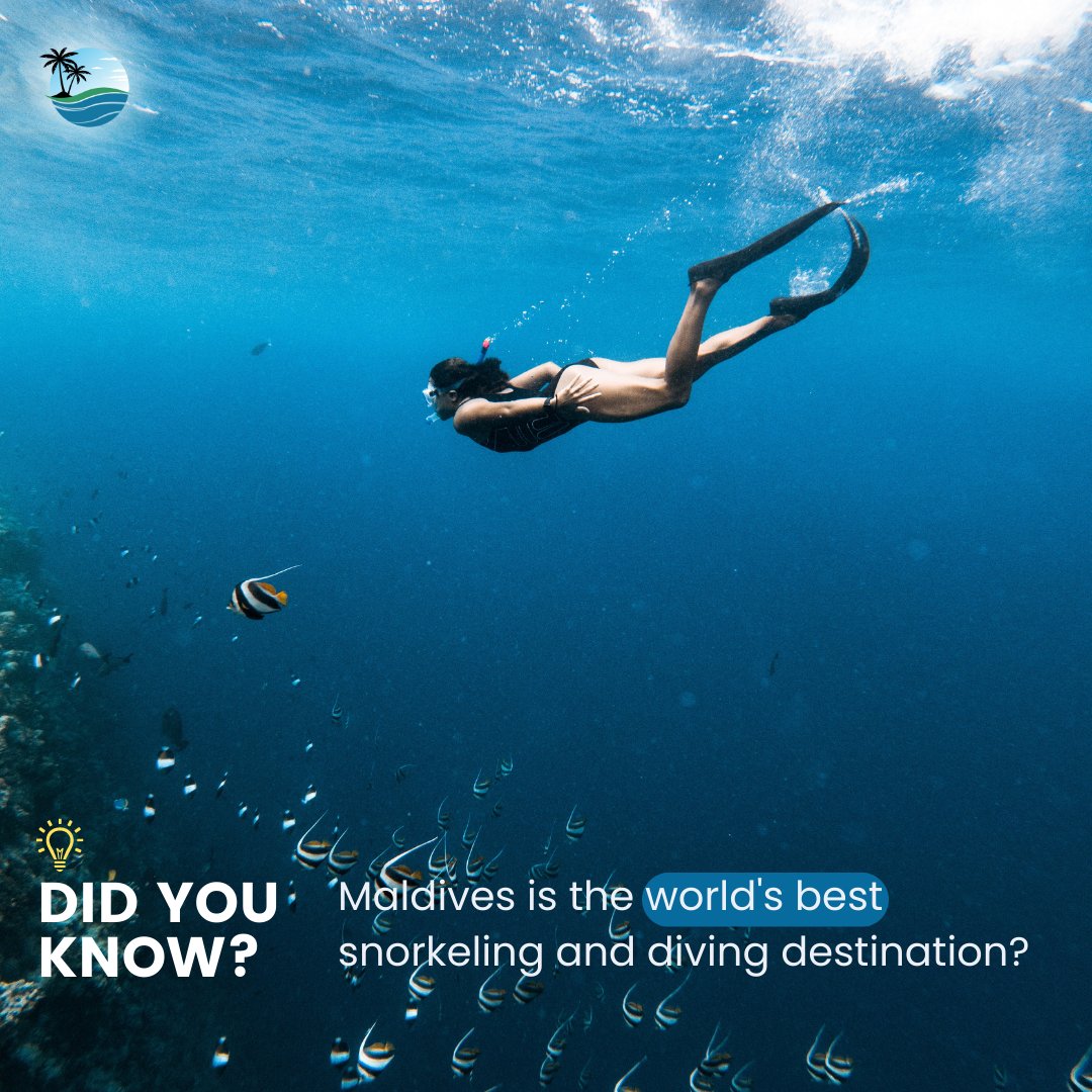 🐠🌊 Dive into the enchanting depths of the Maldives! Explore vibrant coral gardens, swim with tropical fish, and uncover the wonders beneath the waves. 🏝️🤿 

#SnorkelingAdventures #UnderwaterMagic #IslandLifeHolidays #Maldives