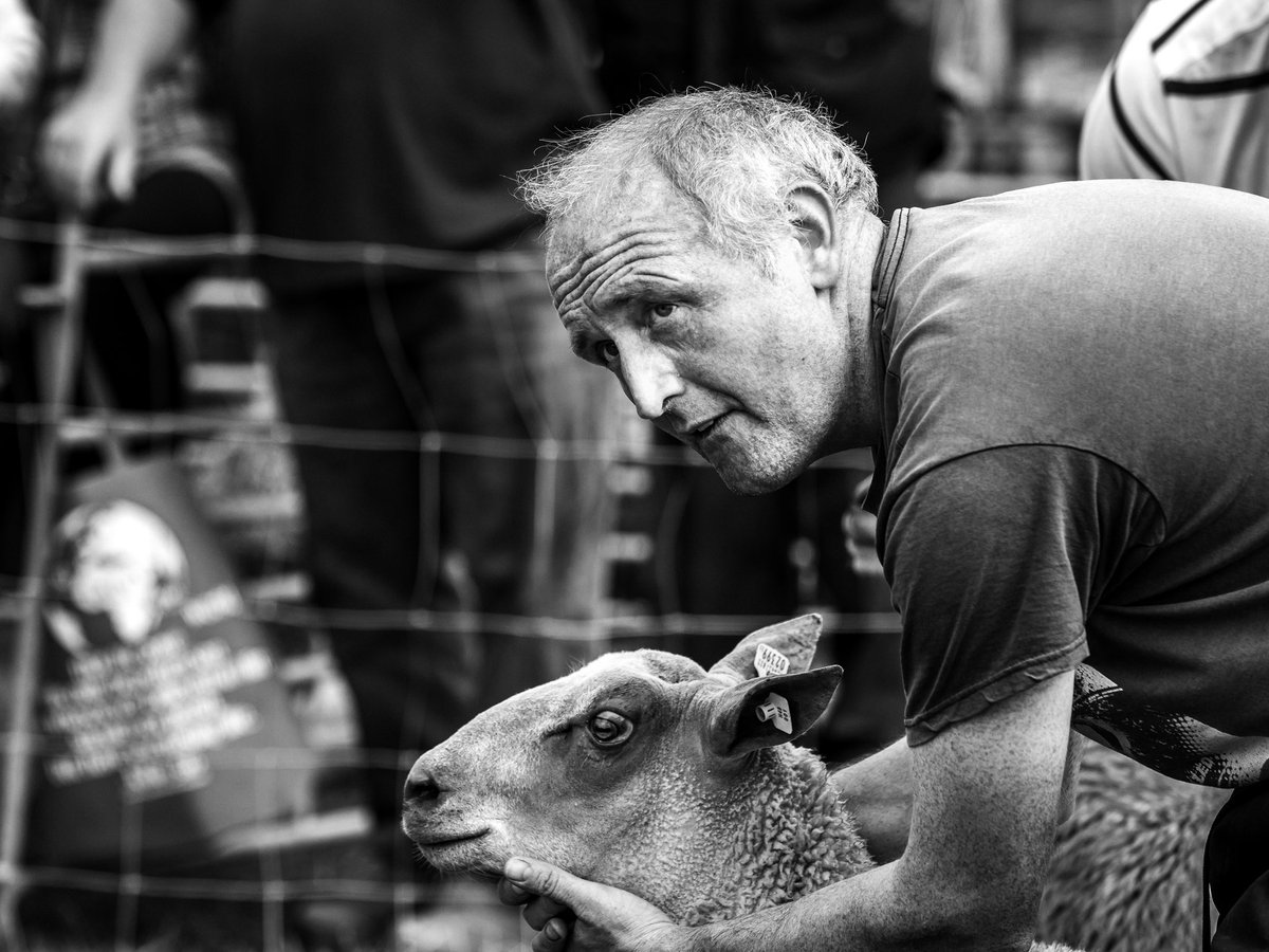 Malachy McMeel showing ewes at the <a href="/cblayneyagrshow/">Castleblayney Show</a> on Monday. Malachy was a busy many taking home multiple awards. I really love a good Ag show. Always full of action and characters and it was nice it didn’t rain for once!