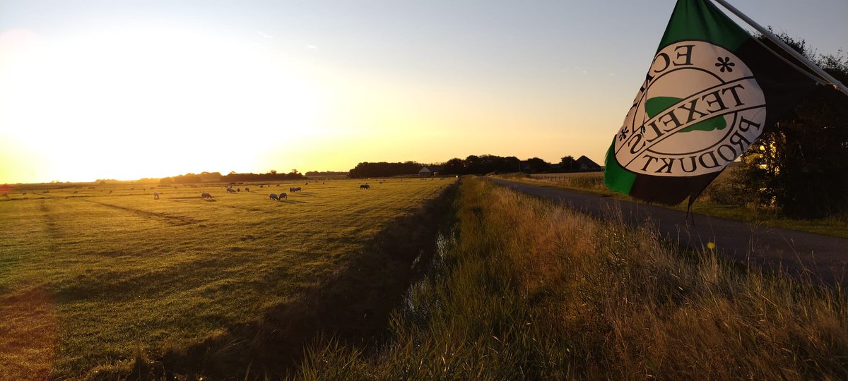 Wezenspyk's tweet photo. De kaasmaakster begon vanmorgen op tijd. #boet #zon #Texel https://t.co/NrHyPkvHI0