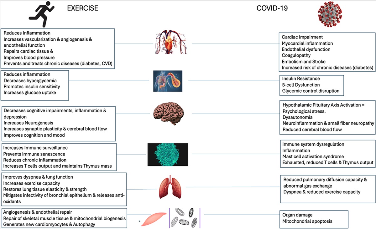 Physio Meets Science tweet media