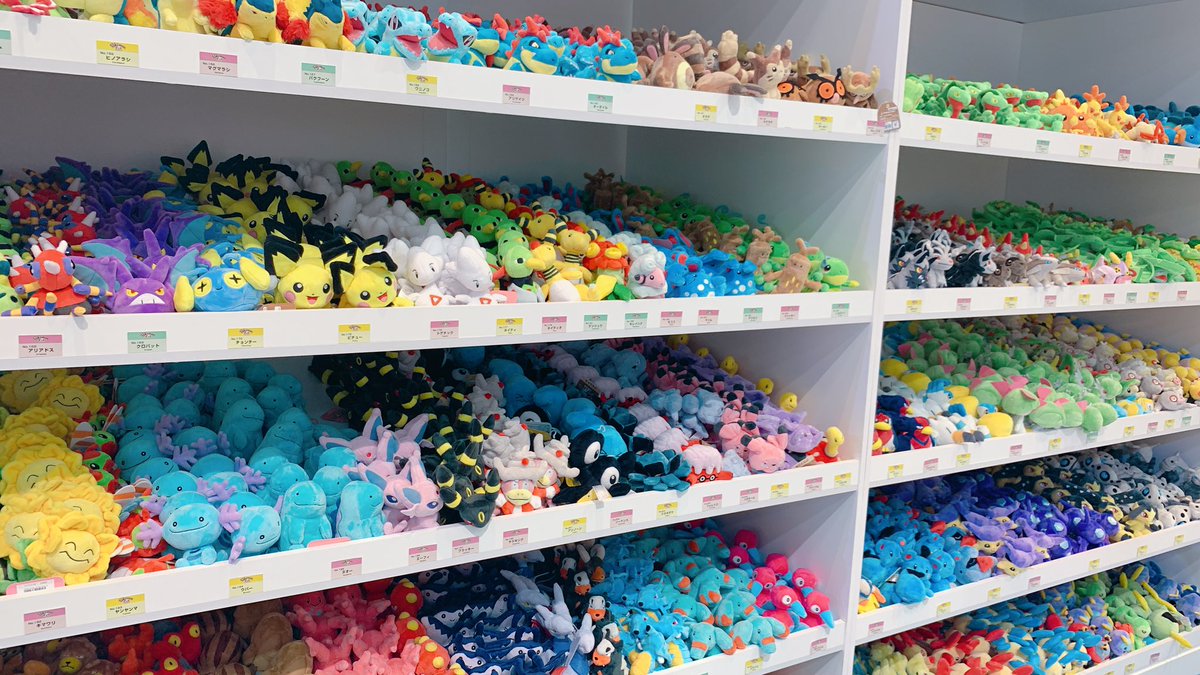 わわわ tweet media