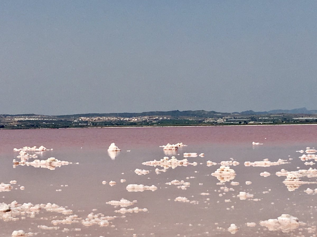 TrainInSpain tweet media