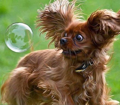 Bubbles! Haha