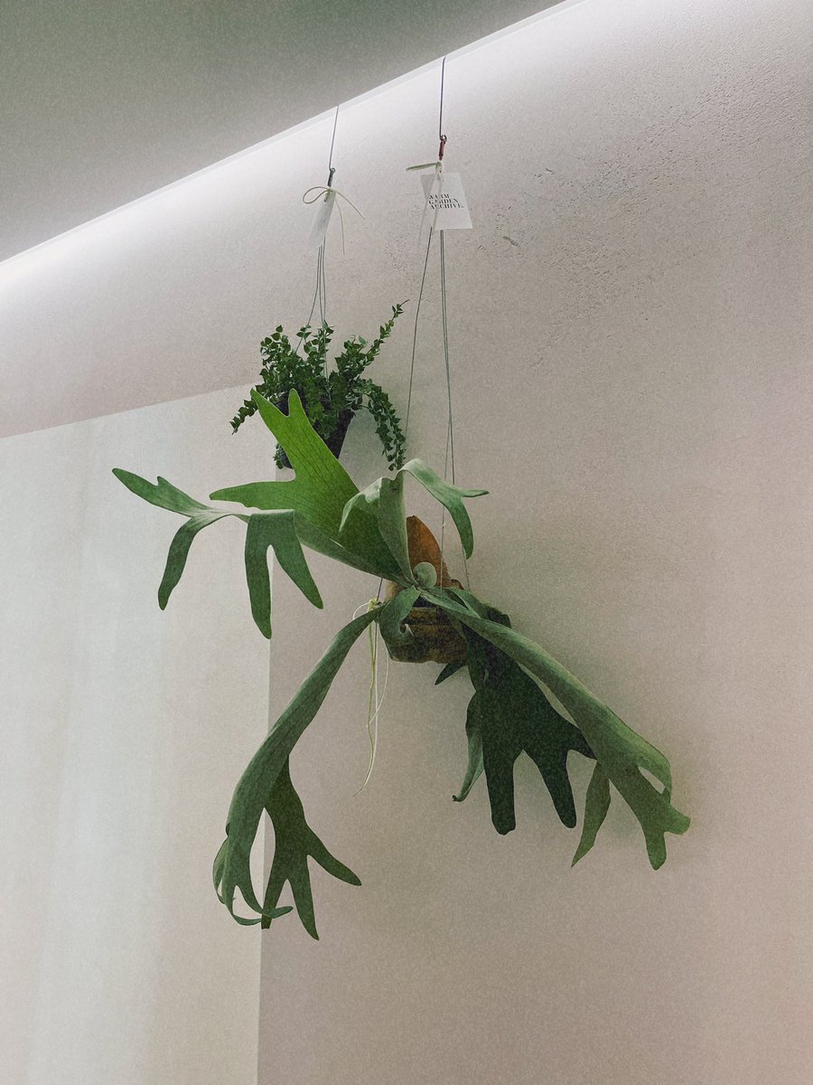 안뇽 ♪ ( ᷇࿀ ᷆ و(و “ 
강서구 마곡나루 차율 필라테스에서 수업하고 있어요. 따뜻하고 편하고 기분 좋은 곳으로 수업하러 오세요! 제가 반겨드릴게요 🤍 
현재 기부형 플리마켓 같은 이벤트도 하고 있어요. 즐겁고 편안히 머물 수 있는 곳에서 함께 해요🙆‍♀️