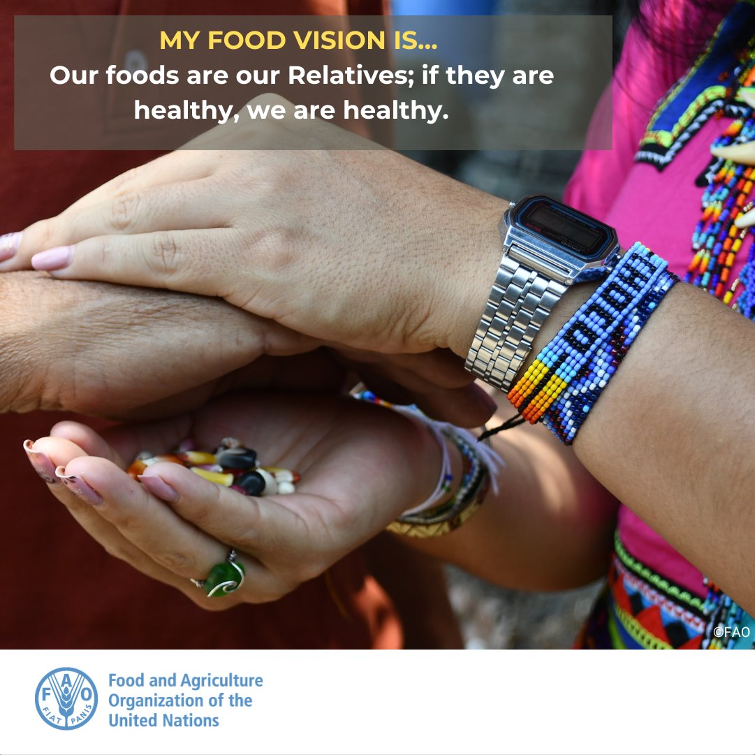 FAOIndigenous's tweet photo. #IndigenousYouth with #MyFoodVision for #SDGs #4Betters #WeAreIndigenous #BetterLife #IndigenousPeoplesDay https://t.co/ULb1KDeMR9