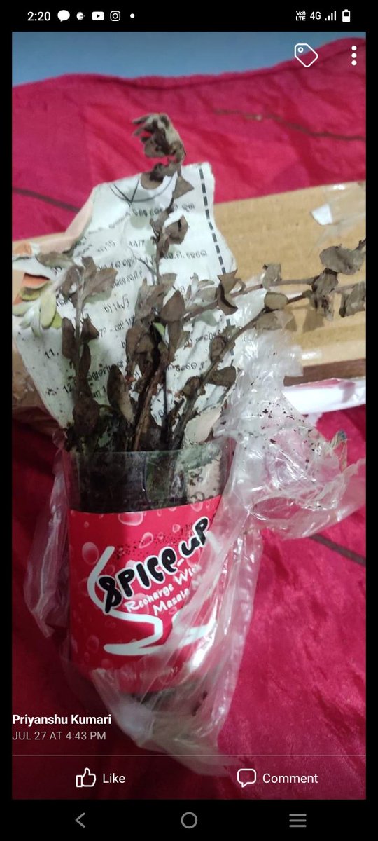 I_SmitaMishra's tweet photo. @IndiaPostOffice @IndiaPostOffice thank you so much for the help and quick service.. We're so obliged to the department... Customer's pic attached.. Postal delays and rotten plant all are our fault... You're doing great job.. Slow claps! Salute to your dedication.. 👍🏾👍🏾 https://t.co/MJq5kRtiSm