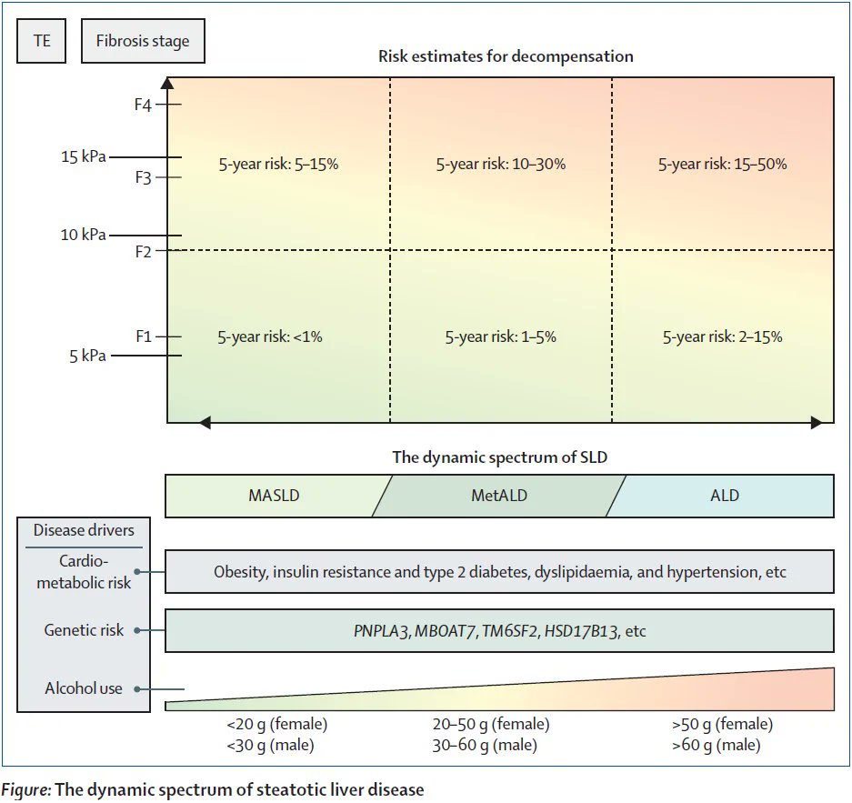Mads Israelsen (@israelsenmads) on Twitter photo Alcohol & Steatotic Liver Disease
Embracing the new nomenclature?
YES🤗
- less stigma🙅♂️🙅♀️
- more precise profiling🩺📊
- opportunities for better care🏥💊
BUT🤔
Very different prognosis between MASLD, MetALD, and ALD
Read our view in <a href="/LancetGastroHep/">The Lancet Gastroenterology & Hepatology</a>
bit.ly/3qlpWfL Alcohol & Steatotic Liver Disease
Embracing the new nomenclature?
YES🤗
- less stigma🙅♂️🙅♀️
- more precise profiling🩺📊
- opportunities for better care🏥💊
BUT🤔
Very different prognosis between MASLD, MetALD, and ALD
Read our view in <a href="/LancetGastroHep/">The Lancet Gastroenterology & Hepatology</a>
bit.ly/3qlpWfL