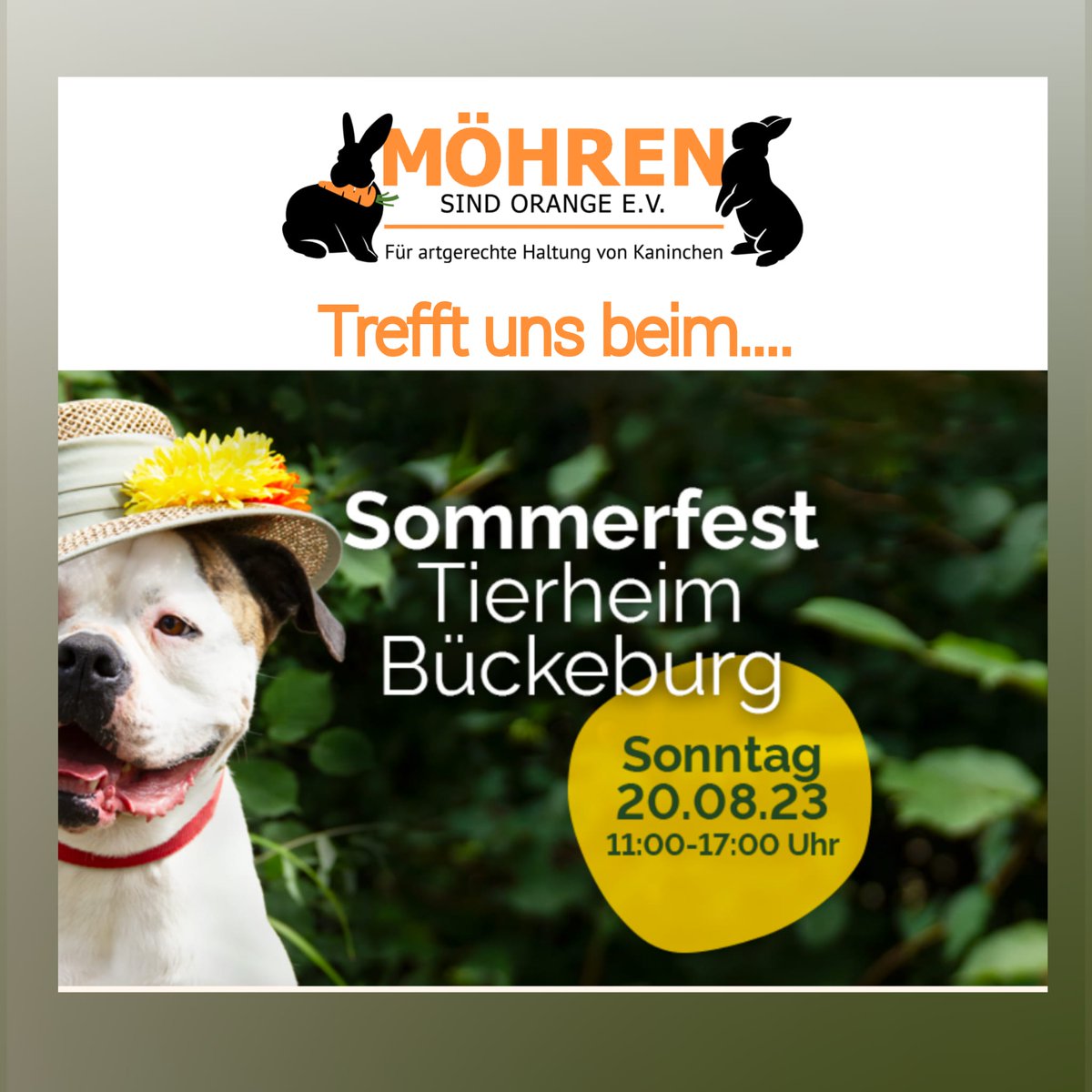 mso_eV's tweet photo. #Bückeburg #Tierschutz #Kaninchen #artgerecht #SaveTheDate https://t.co/0nh2PvXWC4