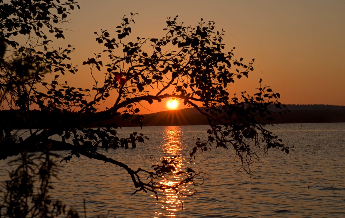 Inarin (melkein) trooppinen elokuun yö