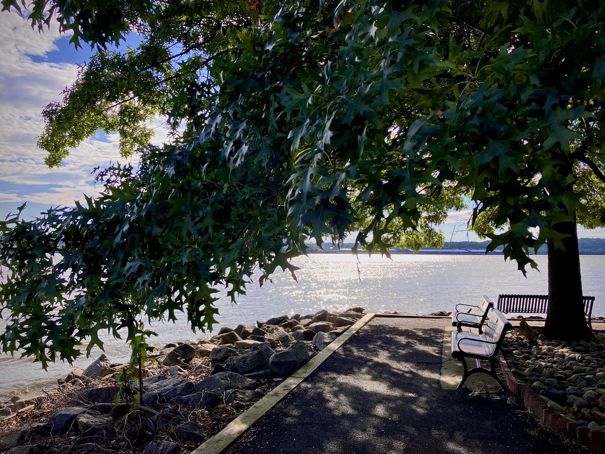 HobanGirl's tweet photo. Stepped out at 8:20am, sun already high, cast blinding dapples over the Potomac. Paths were sodden but not nearly as littered with flood remnants as typical. Dramatic skies punctuated with streaks of blue. Humidity still MIA. #OldTown #Alexandria #ProvidenceTallShip #WilsonBridge https://t.co/VRtiwPFrnW