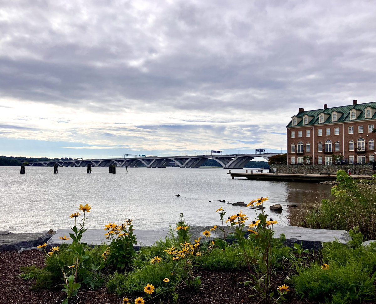 HobanGirl's tweet photo. Stepped out at 8:20am, sun already high, cast blinding dapples over the Potomac. Paths were sodden but not nearly as littered with flood remnants as typical. Dramatic skies punctuated with streaks of blue. Humidity still MIA. #OldTown #Alexandria #ProvidenceTallShip #WilsonBridge https://t.co/VRtiwPFrnW