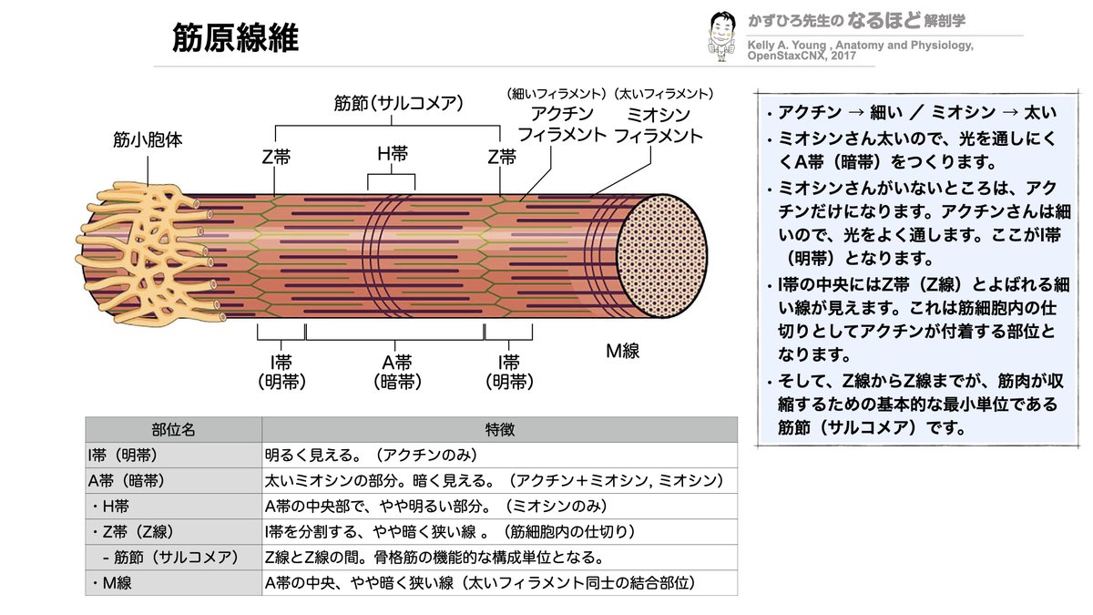F3EBv22acAEY4Wb.jpg F3EBv22acAEY4Wb.jpg