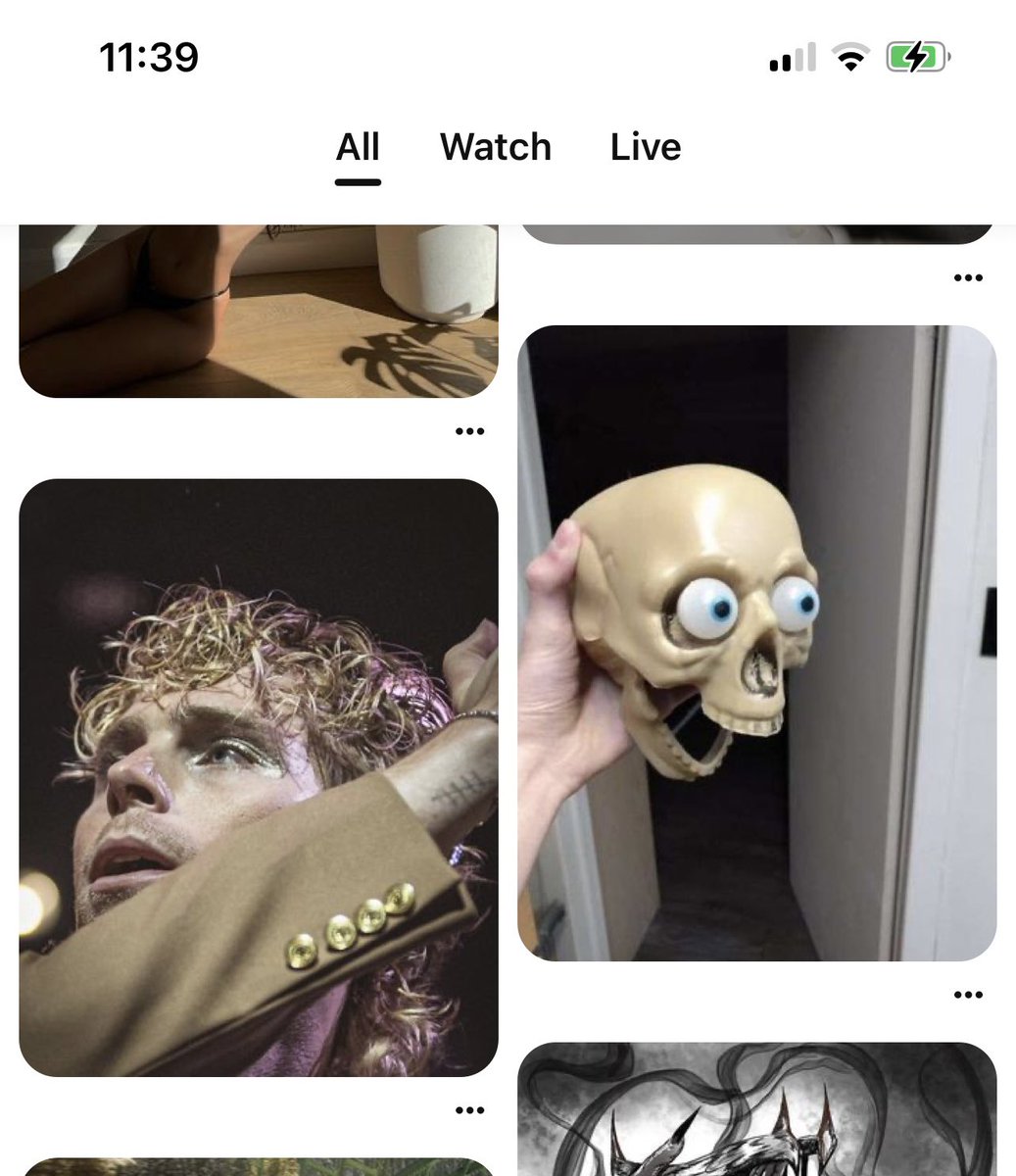 no because my pinterest feed just confused me so much