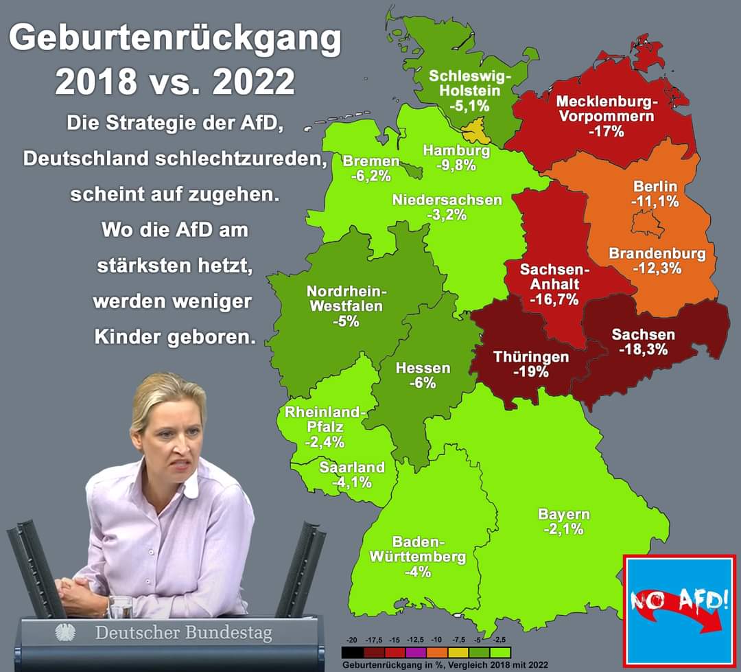 Wie möchte #Chrupalla in diesen 5 BL seine Wähler zum Kinder kriegen ermutigen?