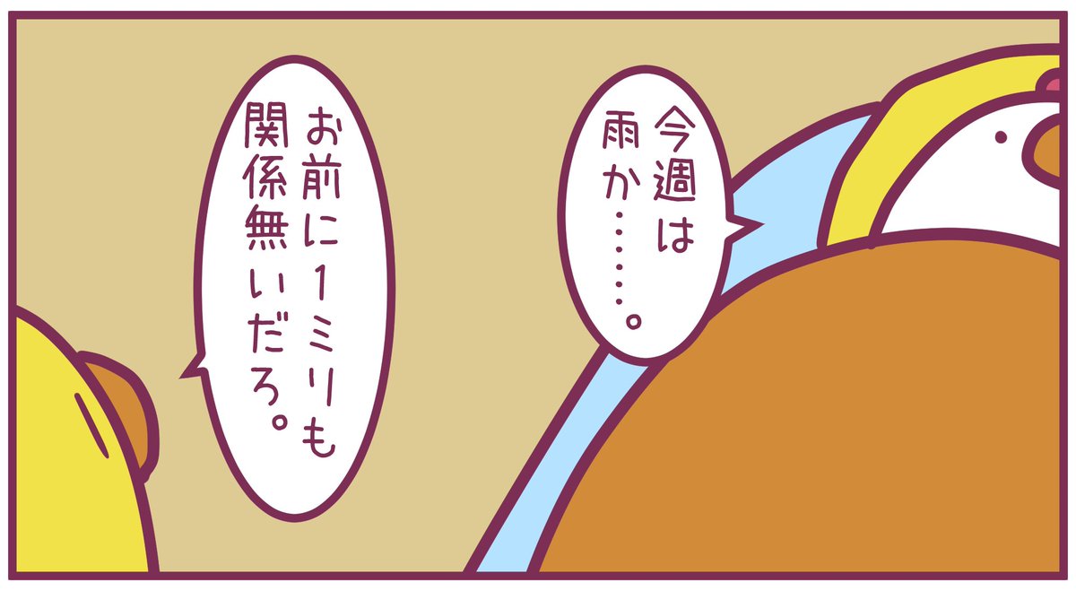 5562