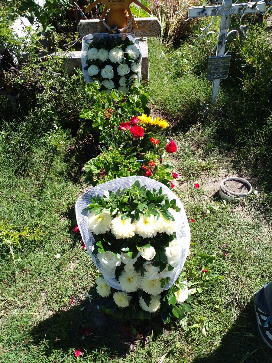 Hace un año que mi mamá enfermo y verla cómo poco a poco se iba me rompió el alma.
Se nos olvida qué la vida es solo un ratito, qué las personas no son eternas .
Digan, hagan y quieran todo lo qué puedan hoy!
Porque tal vez mañana ya no se pueda.
#Mami #papi gracias por la vida😘