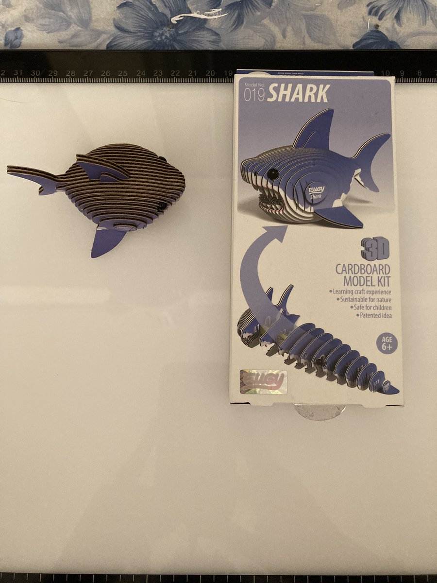 Puzzlepaws1's tweet photo. I had a “me” moment a few days ago, and made the @EUGY_dodoland #shark kit that my late twin got me last Christmas.
I adore these kits! Super cute, easy to do, tiny zen.
@BruceShark5 have you done these?
#3DModel #cardboardModel https://t.co/vmUxDfcvdc