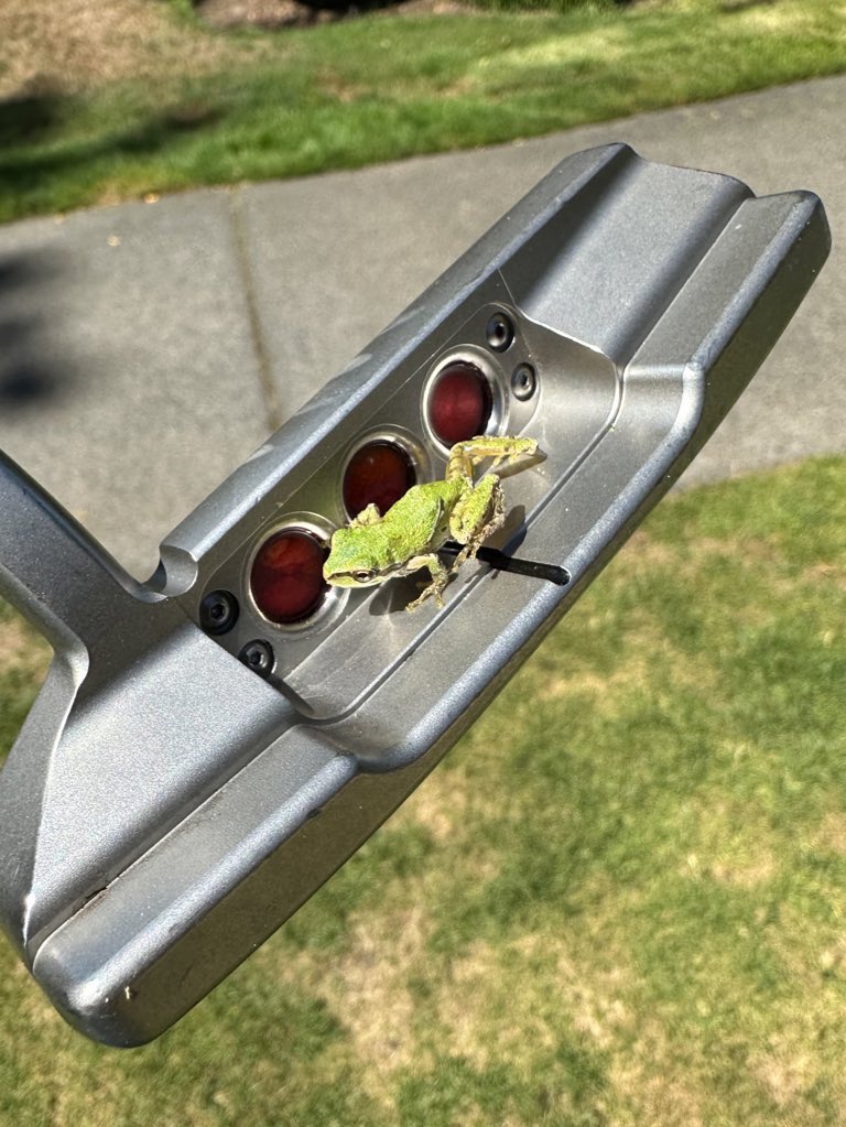 Kelsie Caple tweet media