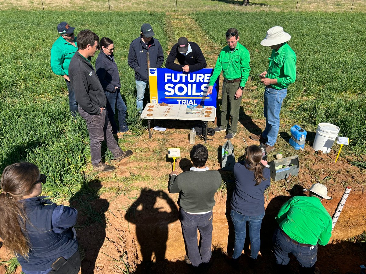 jimmyholding's tweet photo. Thanks @UniNewEngland soil guru's for visiting our long term acidity trial site today. Good to check in on lime and incorporation treatments 3 years down the track.
@Farm_Link #NationalLandcareProgram #ConstraintID https://t.co/Zb2rxsMLzE
